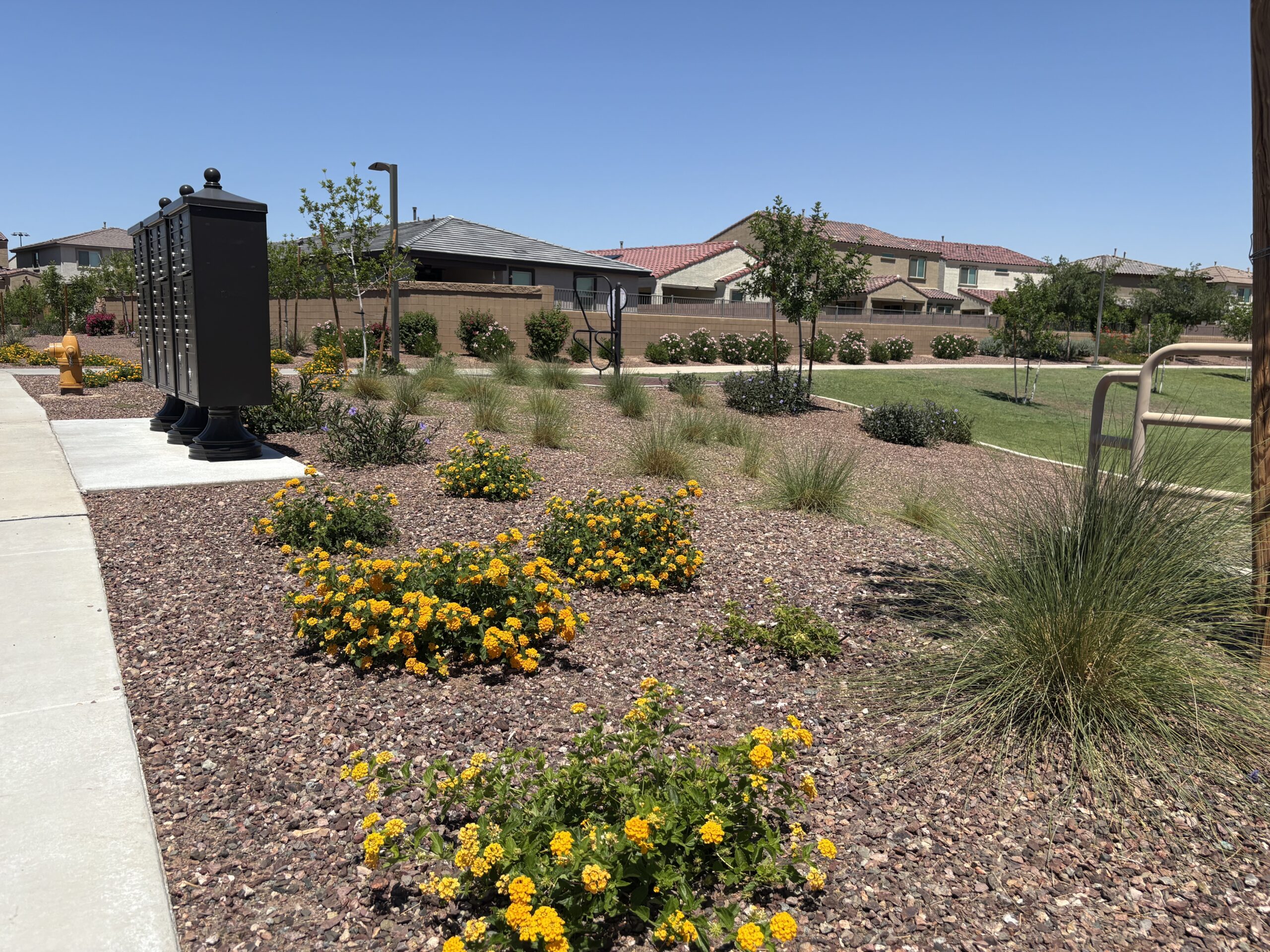 Landscape Enhancements - Four Peaks Landscape Management
